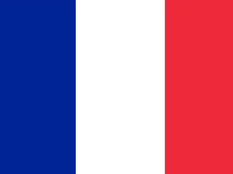 Fransa konsolosluğuörneği