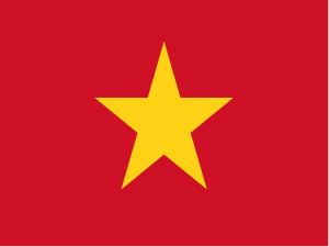 vietnam vize işlemleri